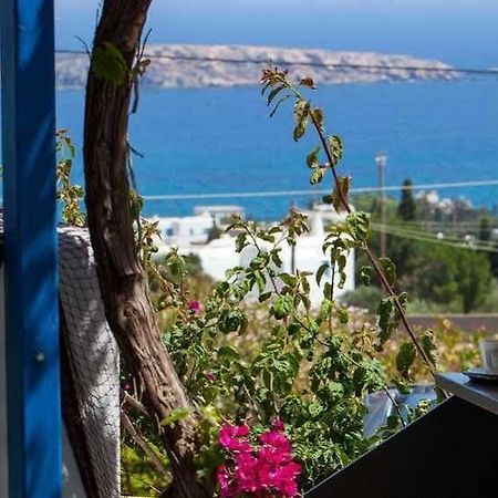 Aloe Paros Suites And Studios 드리오스 외부 사진