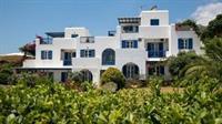 Aloe Paros Suites And Studios 드리오스 외부 사진