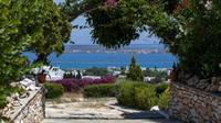 Aloe Paros Suites And Studios 드리오스 외부 사진